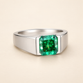 Xingu Ring – angle 2